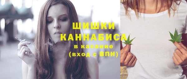 амф Пестово