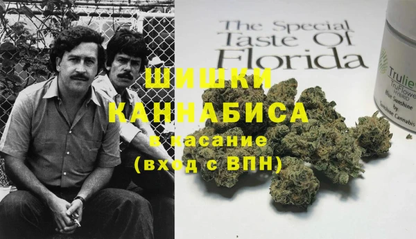 MESCALINE Покачи