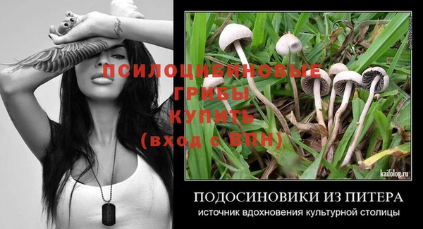 MESCALINE Покачи