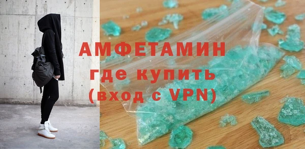 хмурый Пересвет