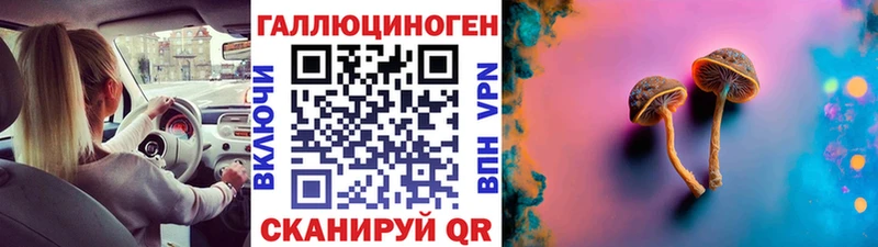 Галлюциногенные грибы GOLDEN TEACHER  omg tor  Боровичи 
