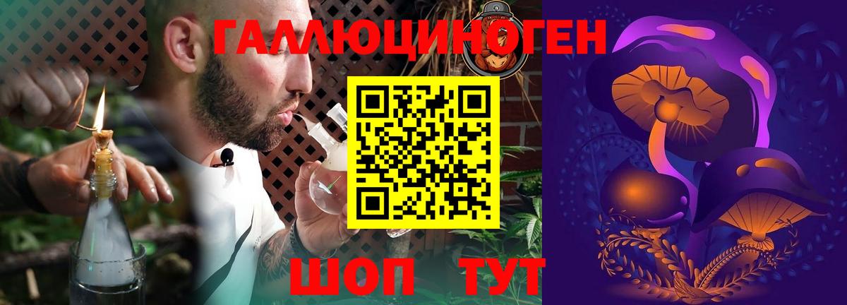 Псилоцибиновые грибы Psilocybe Боровичи